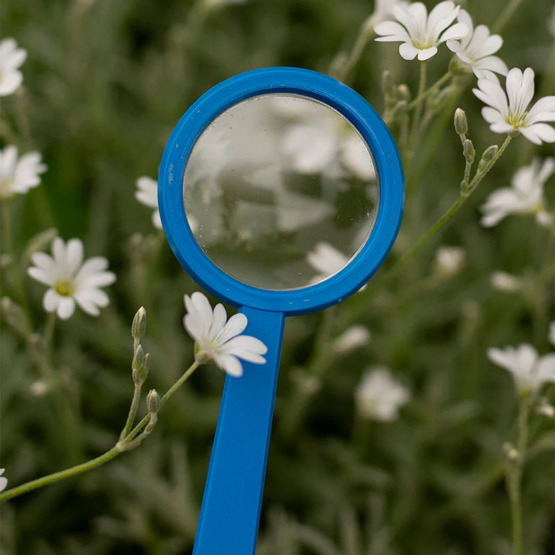 Kids Magnifying Lens by Navir 1pcs Assorted Colours Outdoor Travel Toys Early Science Gifting Idea for 4yrs+