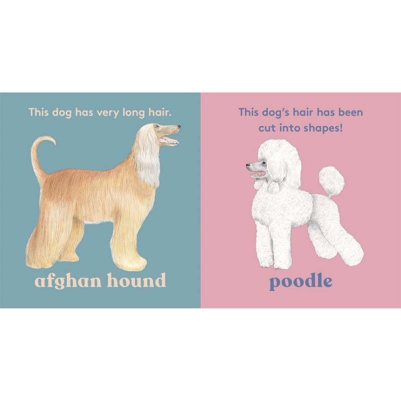 Look! A dog Touch and Feel (Board Book) by Anya Serota Kids Picture Book about 20 Dogs by Magic Cat