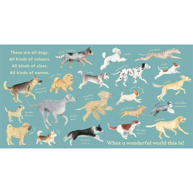 Look! A dog Touch and Feel (Board Book) by Anya Serota Kids Picture Book about 20 Dogs by Magic Cat