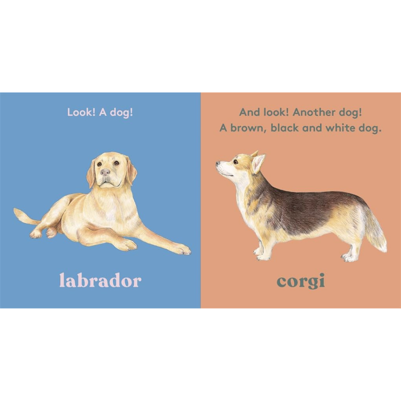 Look! A dog Touch and Feel (Board Book) by Anya Serota Kids Picture Book about 20 Dogs by Magic Cat