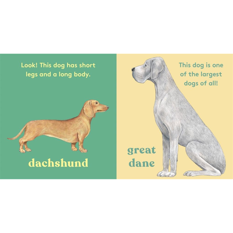 Look! A dog Touch and Feel (Board Book) by Anya Serota Kids Picture Book about 20 Dogs by Magic Cat