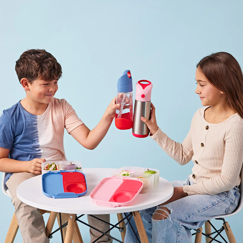 Bbox Insulated Drink Bottle 500ml Flamingo Fizz