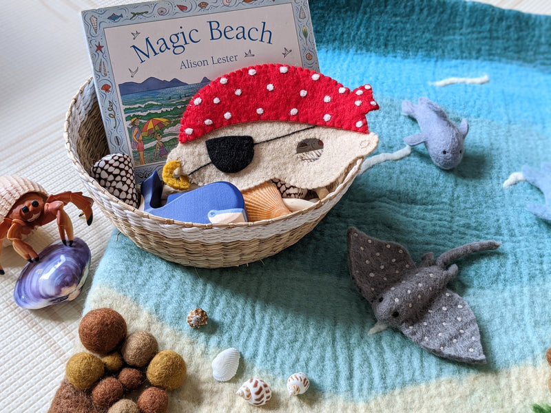 Magic Beach (Board Book) by Alison Lester Kids Book