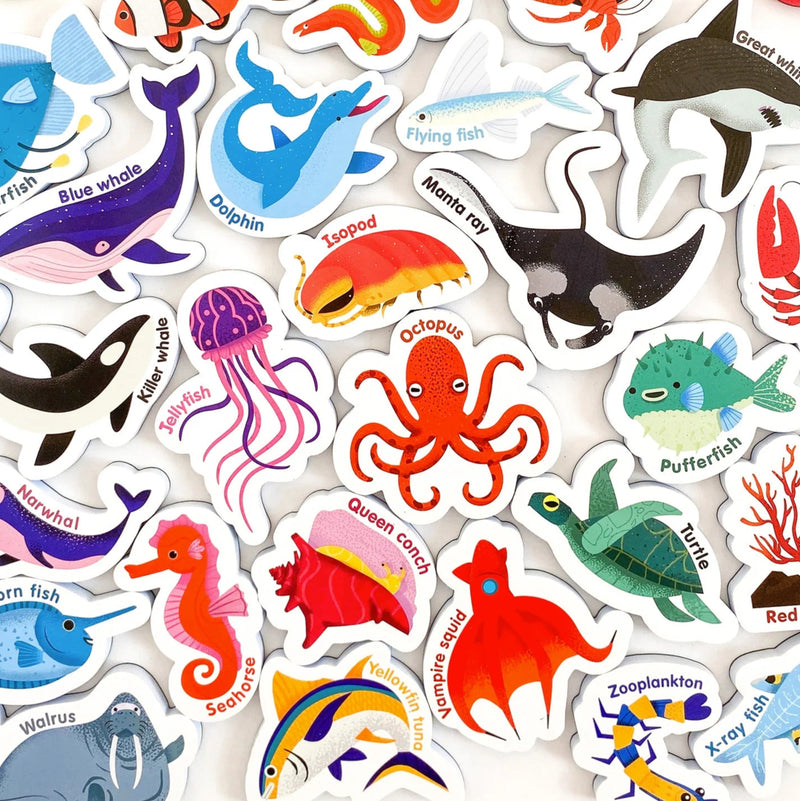 Curious Columbus Magnetic Sea Creatures and Letters Early Phonics Literacy 3yrs+