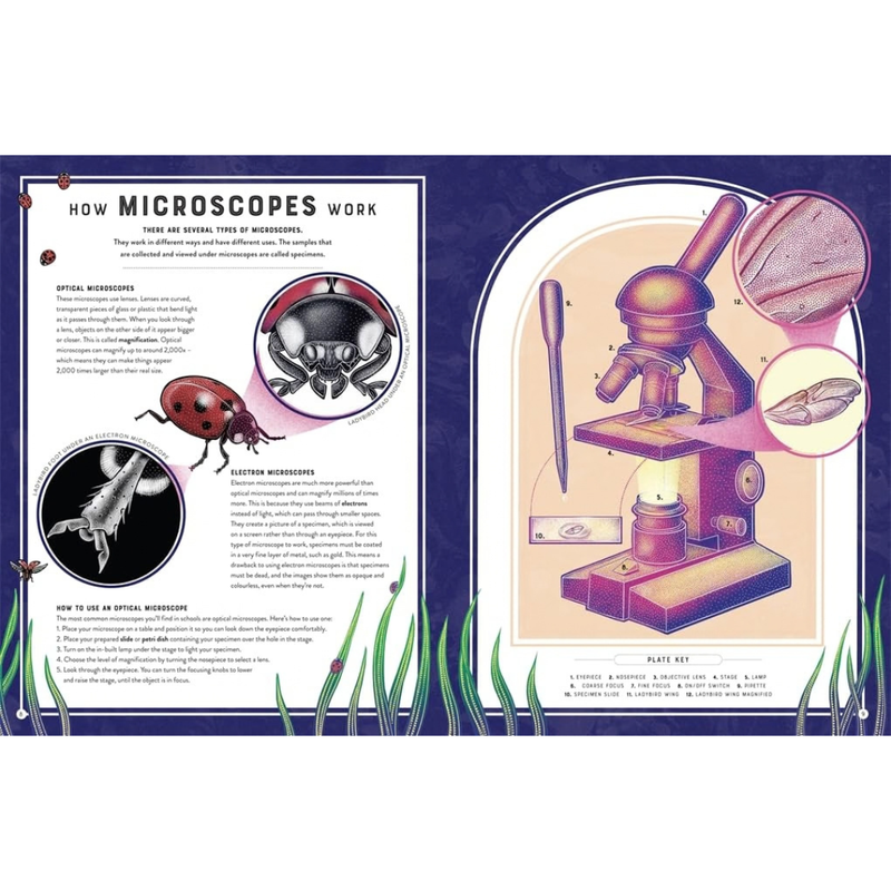 Micro The Wild Wonders of Microscopic Life (Hardcover) by Jennifer N. R. Smith Science Book Exploring Microscopic Life