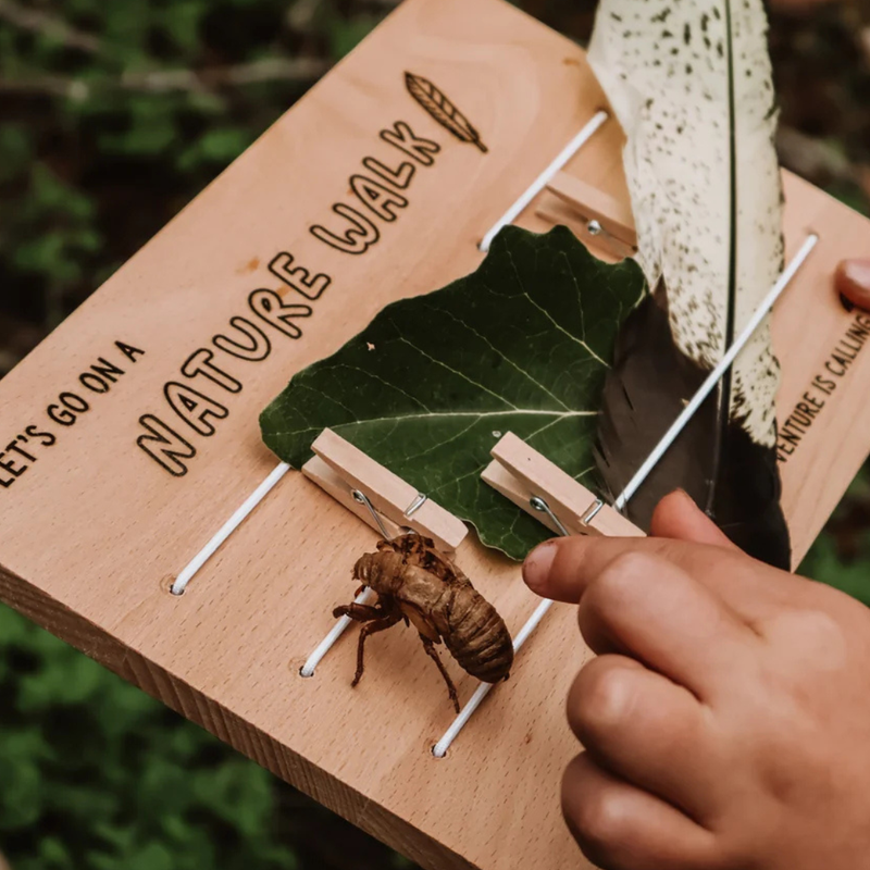 Adventure Nature Board Let's Go on a Nature Walk by Our Earth Life Outdoor Activity Travel Toys 3yrs+