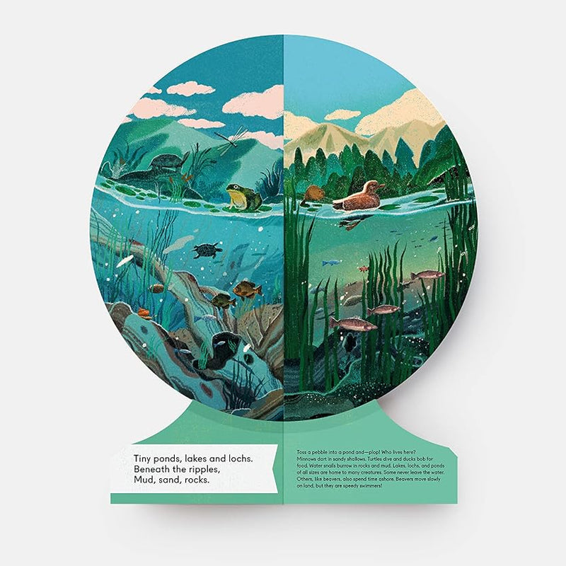 Our Underwater World A First Dive into Oceans, Lakes and Rivers (Board Book) by Sue Lowell Gallion Kids Picture Book