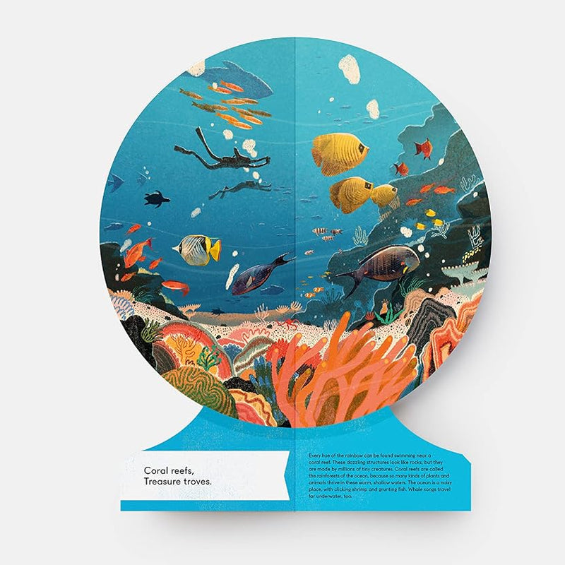Our Underwater World A First Dive into Oceans, Lakes and Rivers (Board Book) by Sue Lowell Gallion Kids Picture Book