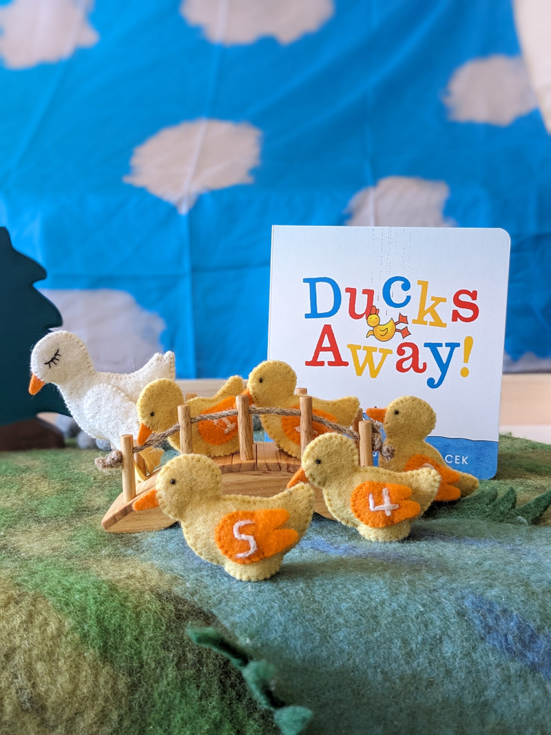 Ducks Away! (Board Book) by Mem Fox Kids Book Australian Authors