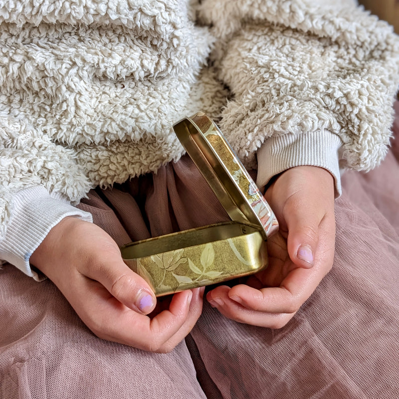 Flower Fairies Pocket Tin 8.5x 9.5x 2.5 (LWH) Best Seller Fairy Unicorn and Castle Theme Most Loved in Store 3yrs+