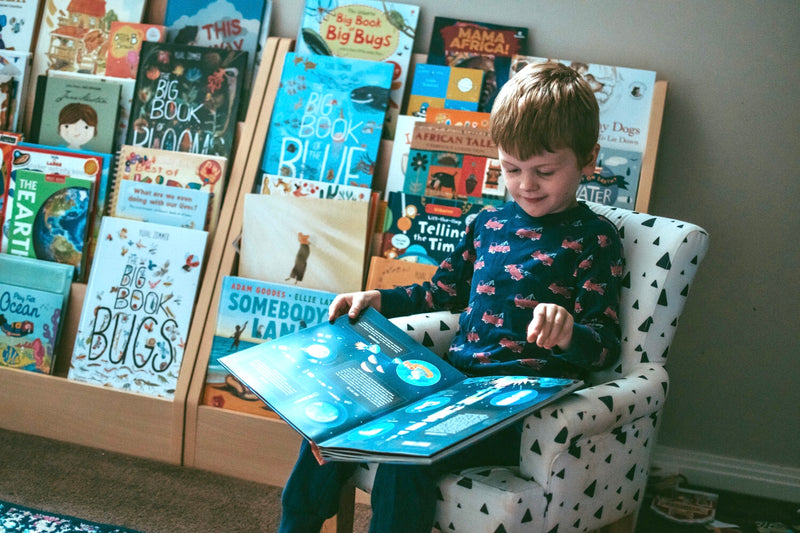 Pop Up Moon (Hardcover)