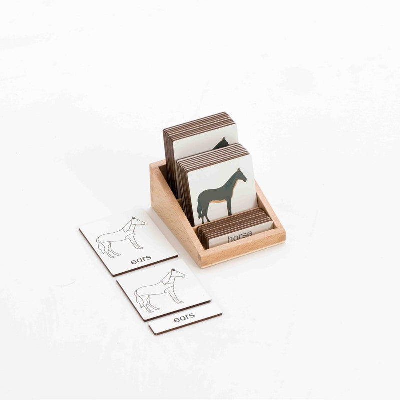 Montessori Classification 3 Part Timber Cards - Horse 10 pcs (With Box)