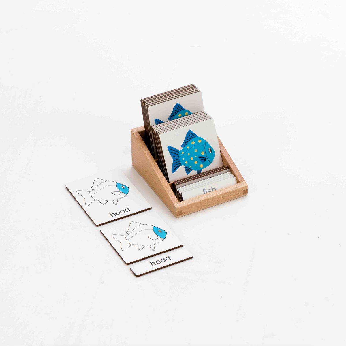 Montessori Classification 3 Part Timber Cards - Fish 8 pcs (With Box ...
