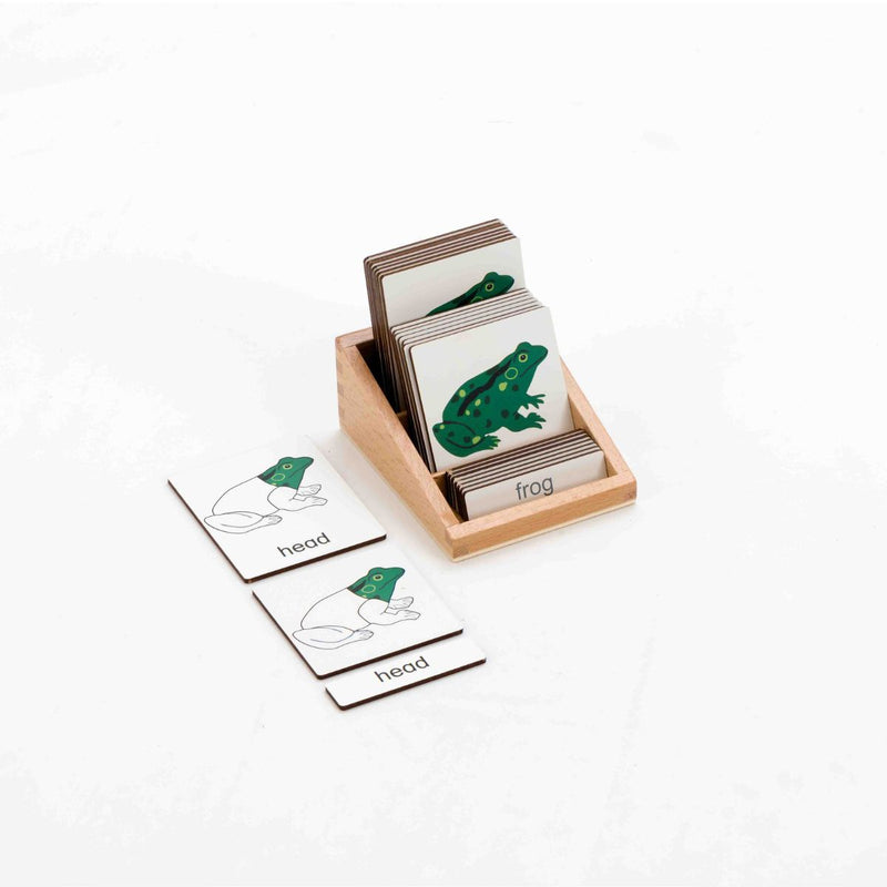 Montessori Classification 3 Part Timber Cards - Frog 8 pcs (With Box)