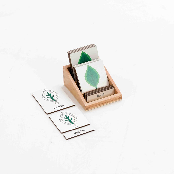 Montessori Classification 3 Part Timber Cards - Leaf 6pcs (With Box)
