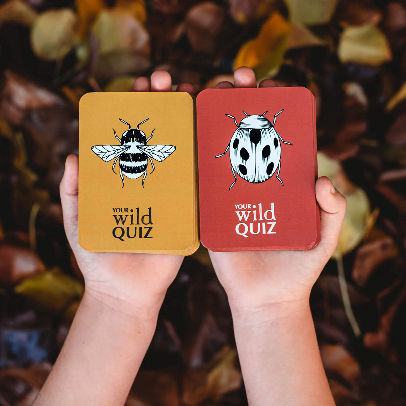 Your Wild Books