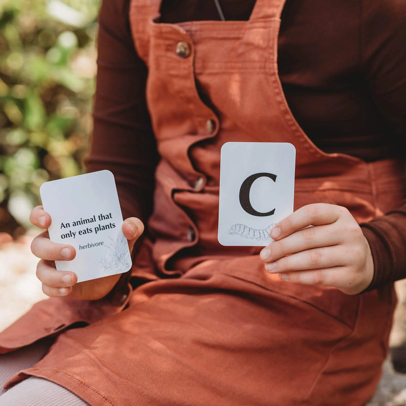 Wild Quiz Card Games for kids Nature Outdoor Travel Toys 3yrs+