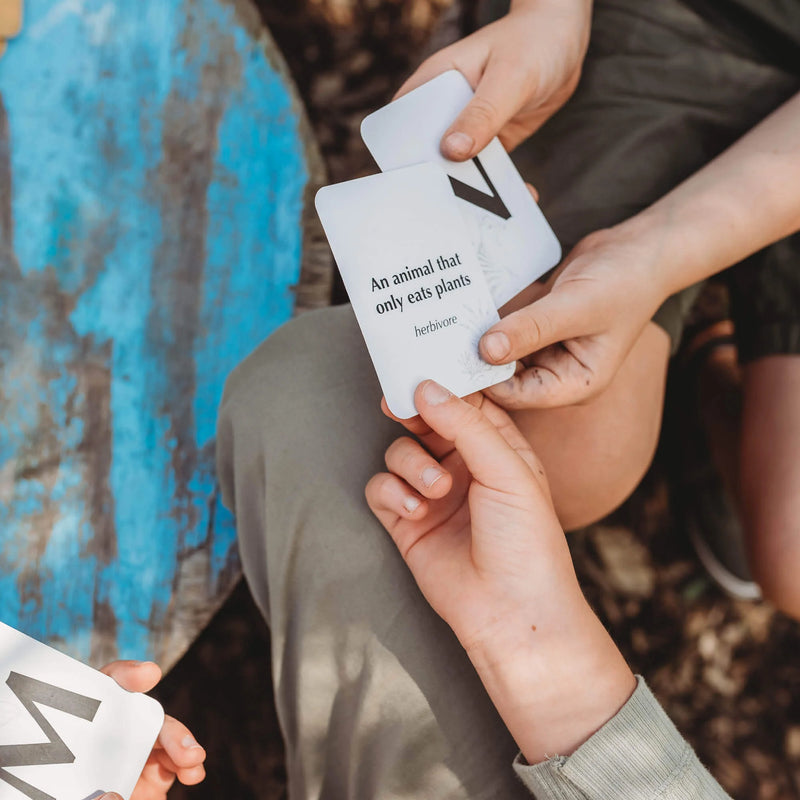 Wild Quiz Card Games for kids Nature Outdoor Travel Toys 3yrs+