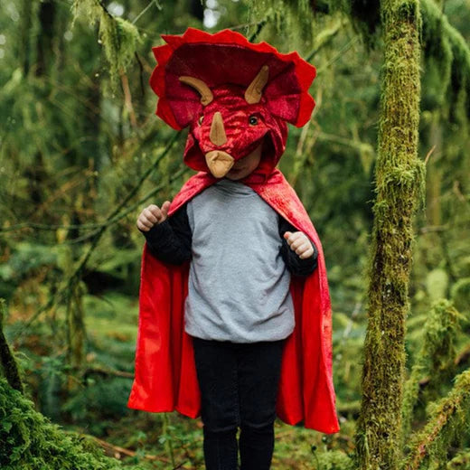 Aomig Cape Dinosaure Déguisement Enfant, Argent Costume de Dragon Cape avec Masque pour Cosplay Halloween Carnaval Noël Fête