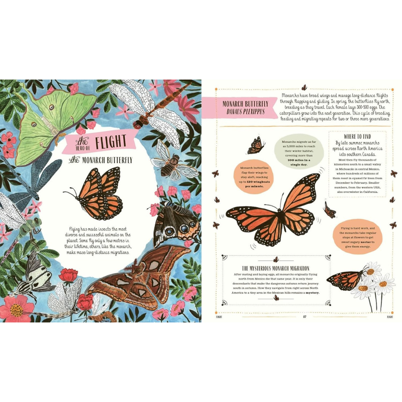 Buzz: A Guide to Bugs and Bees and How to Spot Them (Hardcover) by Richard Jones