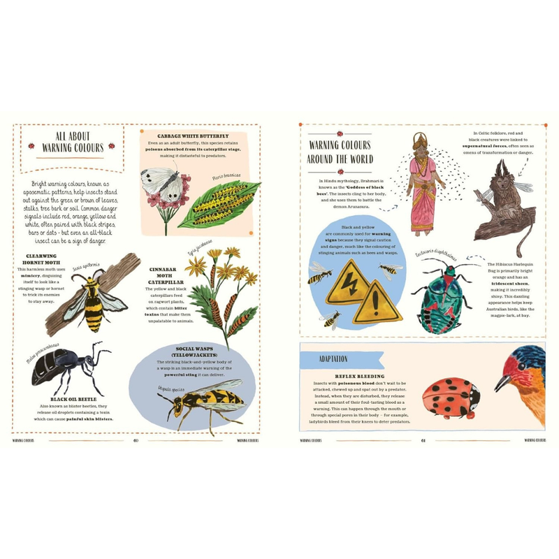 Buzz: A Guide to Bugs and Bees and How to Spot Them (Hardcover) by Richard Jones