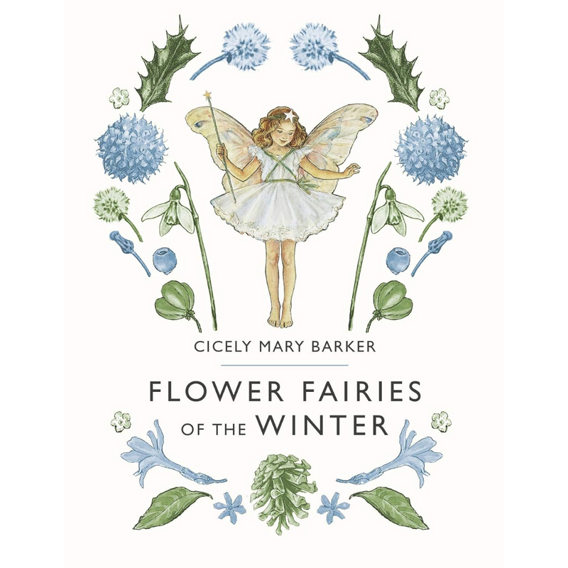 Flower Fairies Of The Winter (Hardcover) by Cicely Mary Barker Fairy Kids Picture Book Fairy Unicorn and Castle Theme