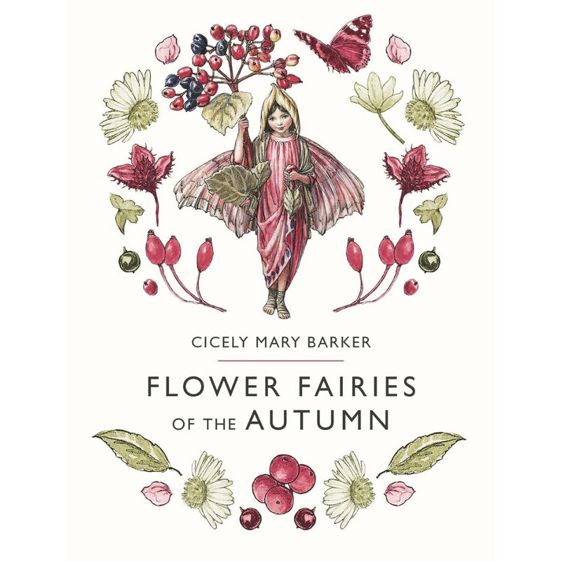 Flower Fairies Of The Autumn (Hardcover) by Cicely Mary Barker Fairy Kids Picture Book Fairy Unicorn and Castle Theme