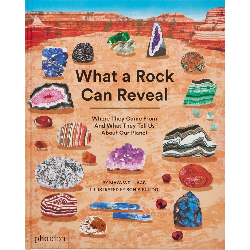 What A Rock Can Reveal (Hardcover) by Maya Wei-Haas, Sonia Pulido: Non-fiction Kids Picture Book Earth Science