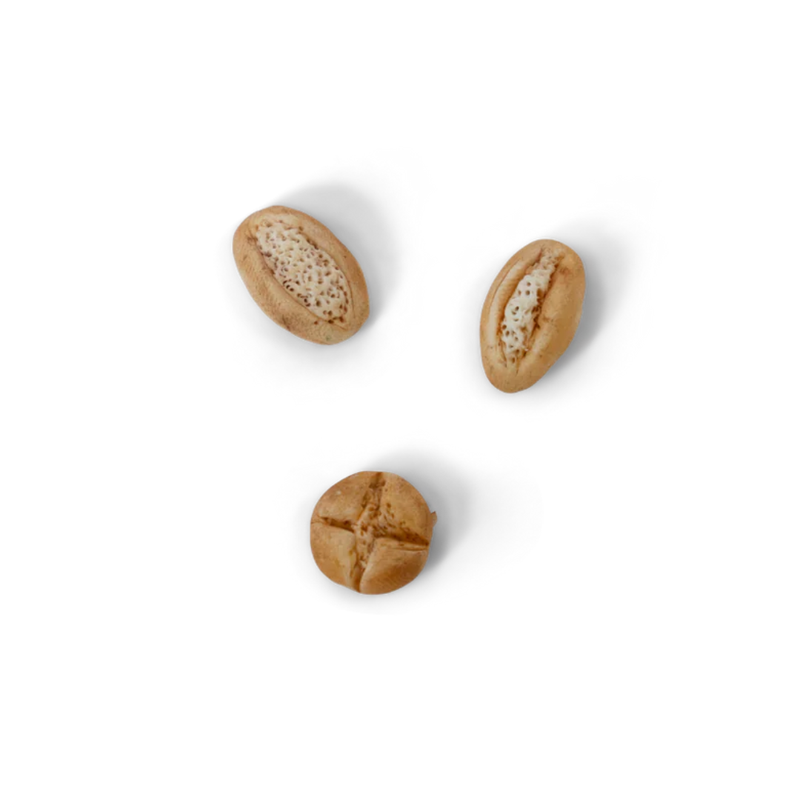 Sam & Julia Polymer Clay Modelling Set 12 colours Art and Craft Gifting Idea 8yrs+