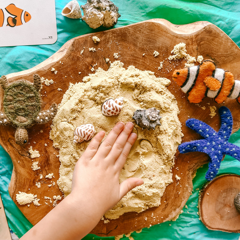 Tara Treasures Felt Australian Coral Reef Finger Puppet Set of 5 Australian Ocean Animals Pretend & Imaginative Play Toys 3yrs+