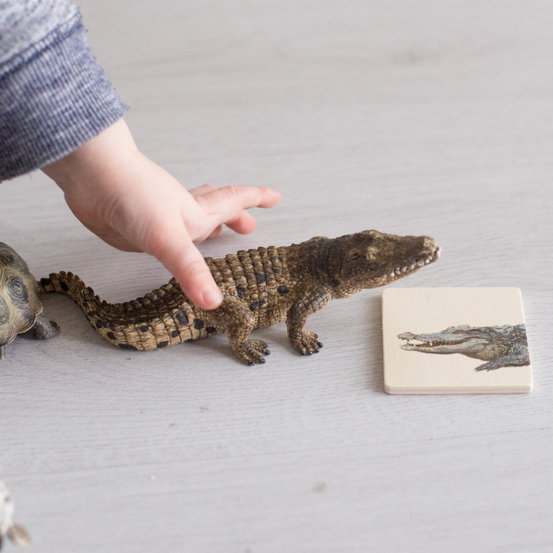 Schleich Crocodile Figurine Woodland Collection Animal Figurines 3yrs+