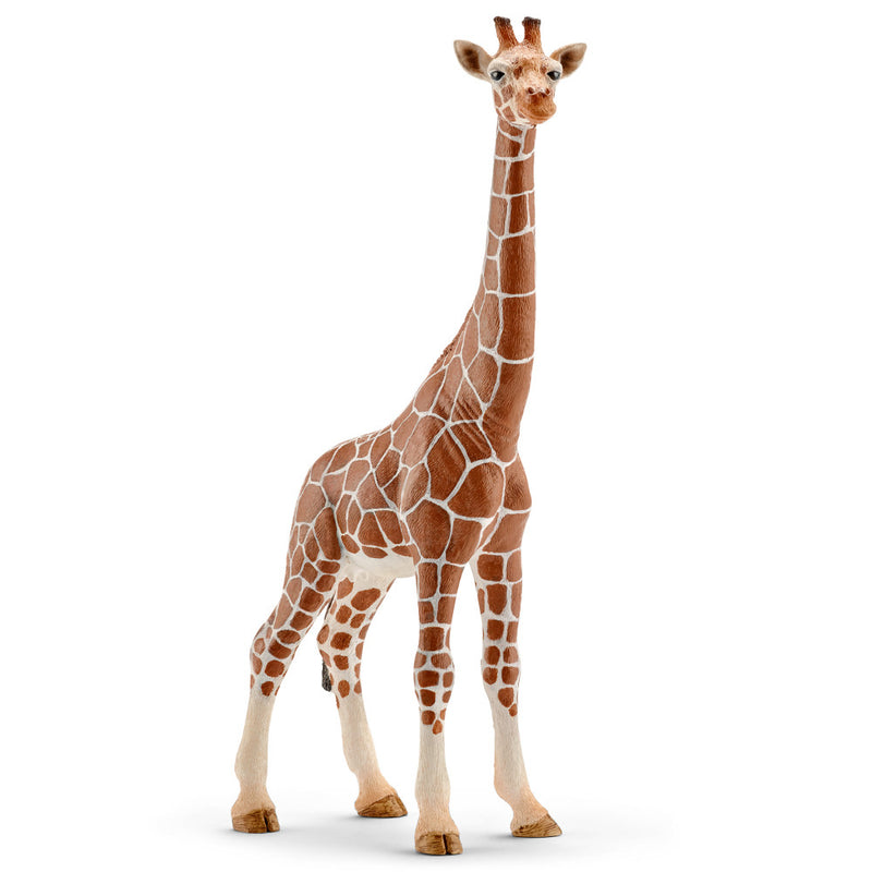 Schleich Giraffe Female Figurine Woodland Collection Animal Figurine 3yrs+