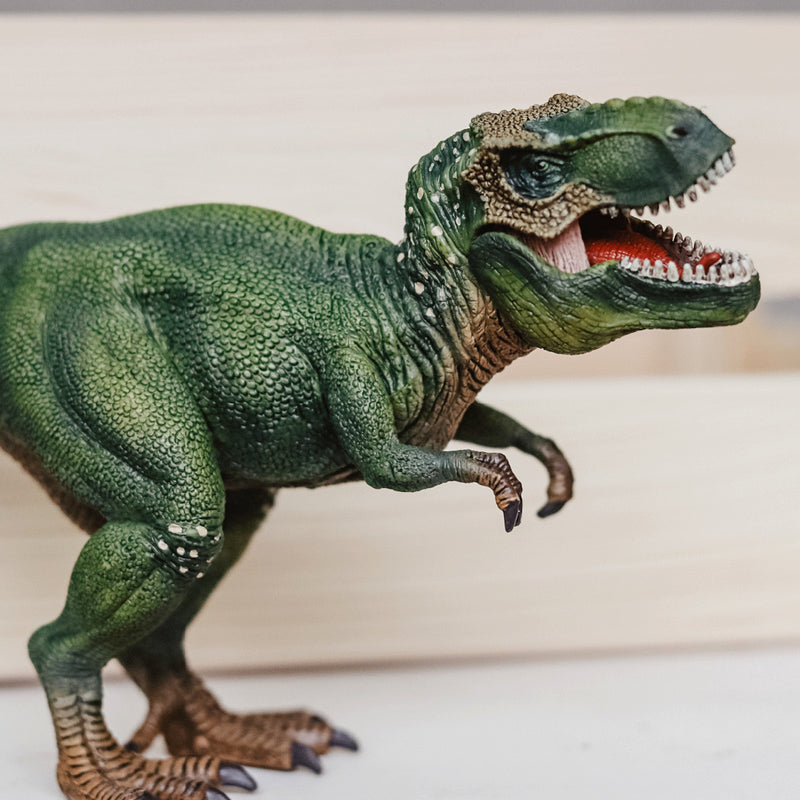 Schleich T-Rex Figurine Large Figurine Dinosaur Collection Animal Figurines 3yrs+