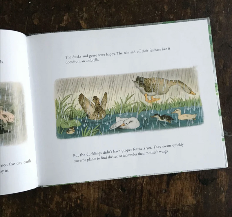 Where Do They Go When It Rains (Hardcover) By Gerda Muller Kids Book