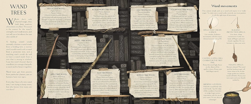 A Natural History of Magick (Hardcover) by Poppy David & Jessica Roux 5yrs+