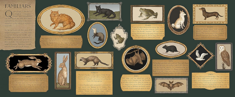 A Natural History of Magick (Hardcover) by Poppy David & Jessica Roux 5yrs+