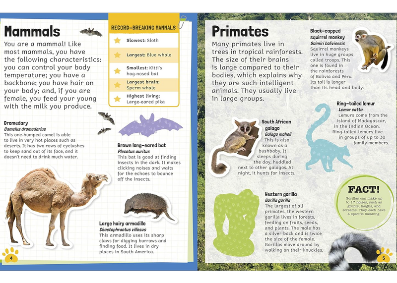Sticker Encyclopedia Animals Sticker Book with over 600 Stickers (Paperback) by DK Activity Book