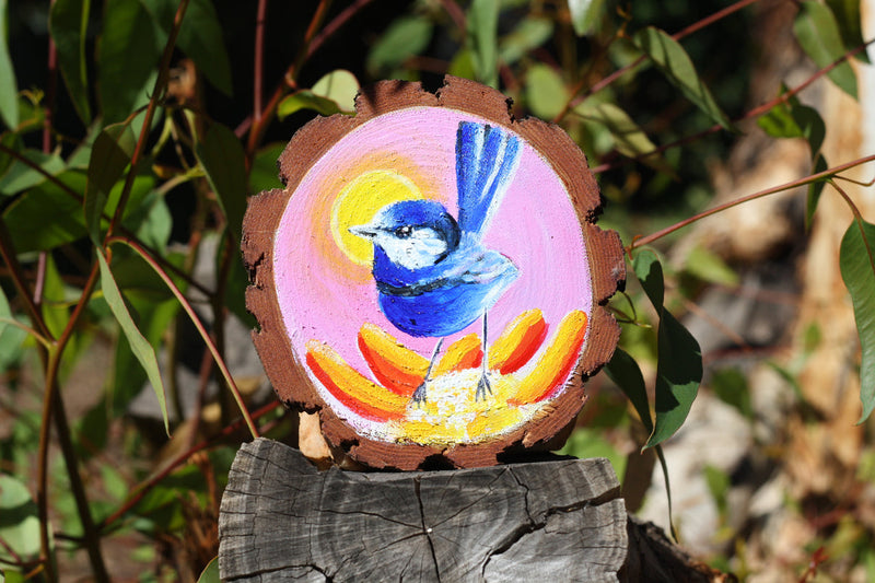 Wood Slices Each 12-14cm Diameter Wooden Nature Play Tools and Toys 3yrs+