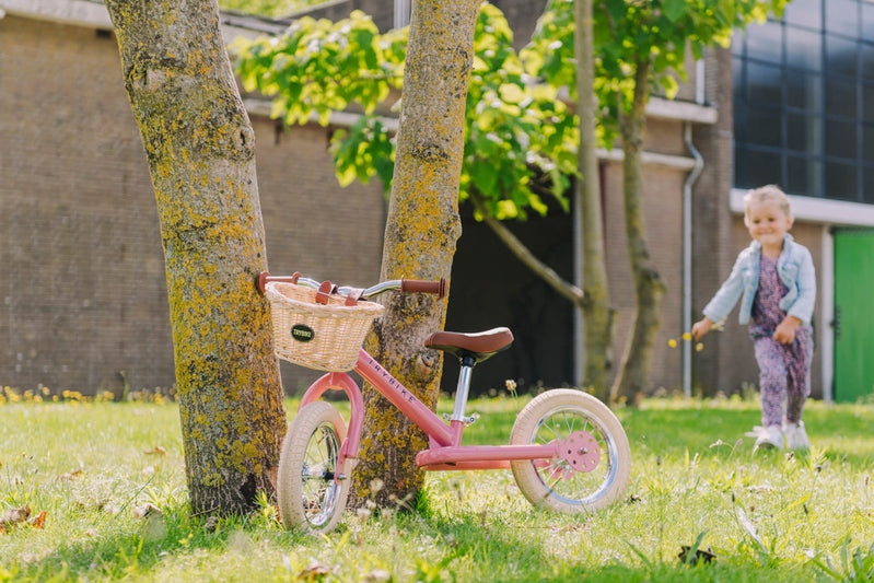 TryBike - Hadelbar Basket