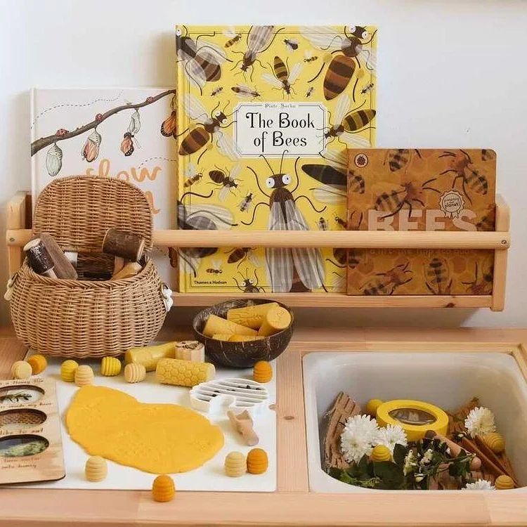 The Book Of Bees (Hardcover) by Piotr Socha Non-fiction Kids Book Earth Science