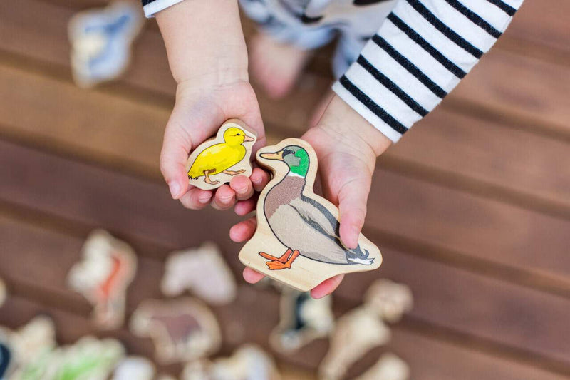 The Freckled Frog Animal Families Pretend & Imaginative Play Developmental Toys for Toddler Gifts Idea 18m+