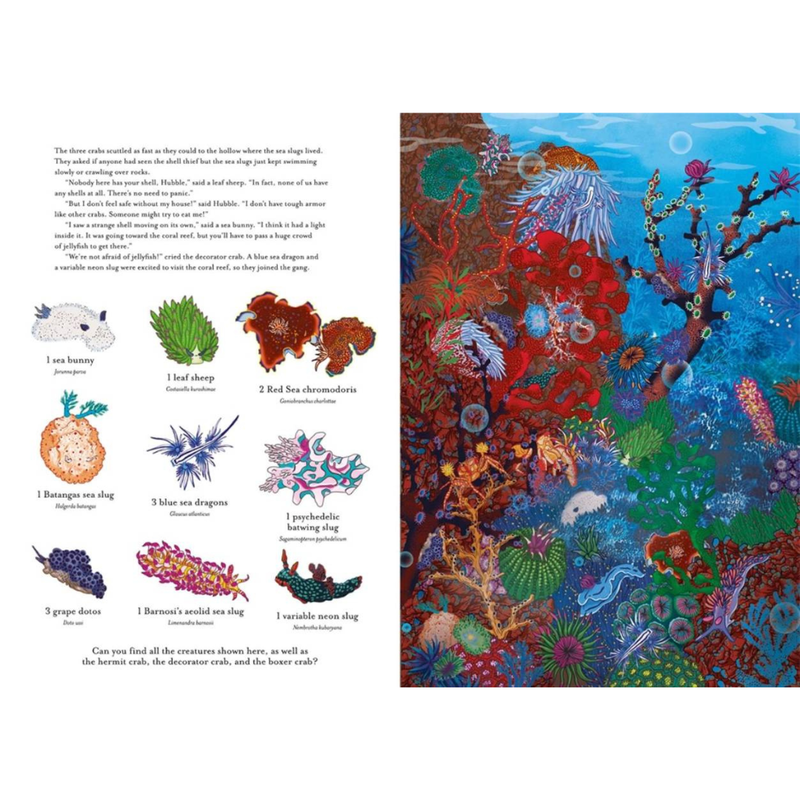 The Incredible 3D Ocean Dive (Hardcover) by Peggy Nille Ocean Book