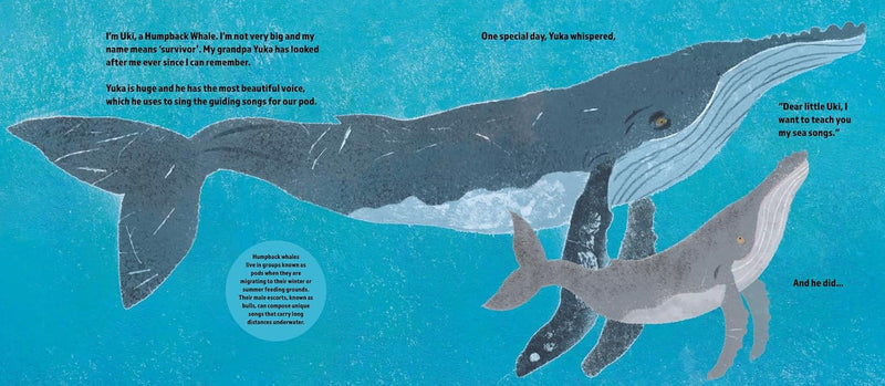 The Brave Little Whale (Hardcover) by Charlotte Manning Kids Ocean Book