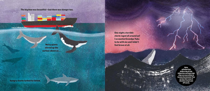 The Brave Little Whale (Hardcover) by Charlotte Manning Kids Ocean Book