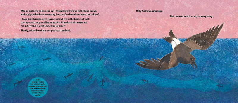 The Brave Little Whale (Hardcover) by Charlotte Manning Kids Ocean Book