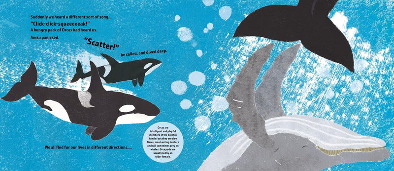 The Brave Little Whale (Hardcover) by Charlotte Manning Kids Ocean Book