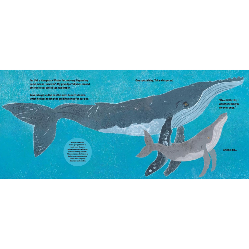 The Brave Little Whale (Hardcover) by Charlotte Manning Kids Ocean Book