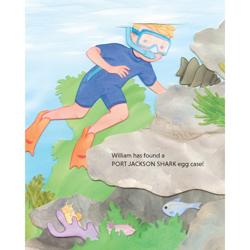 The Great Shark Egg Case Hunt (Hardcover) by Kasey Whitelaw Kids Picture Book