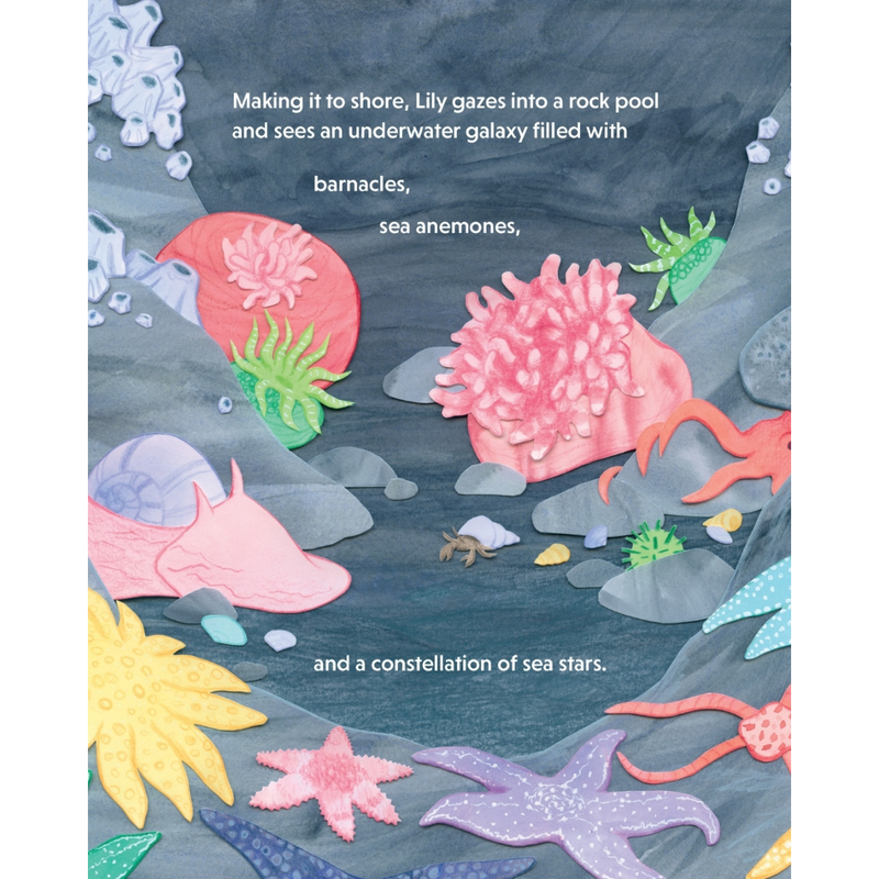 The Great Shark Egg Case Hunt (Hardcover) by Kasey Whitelaw Kids Picture Book