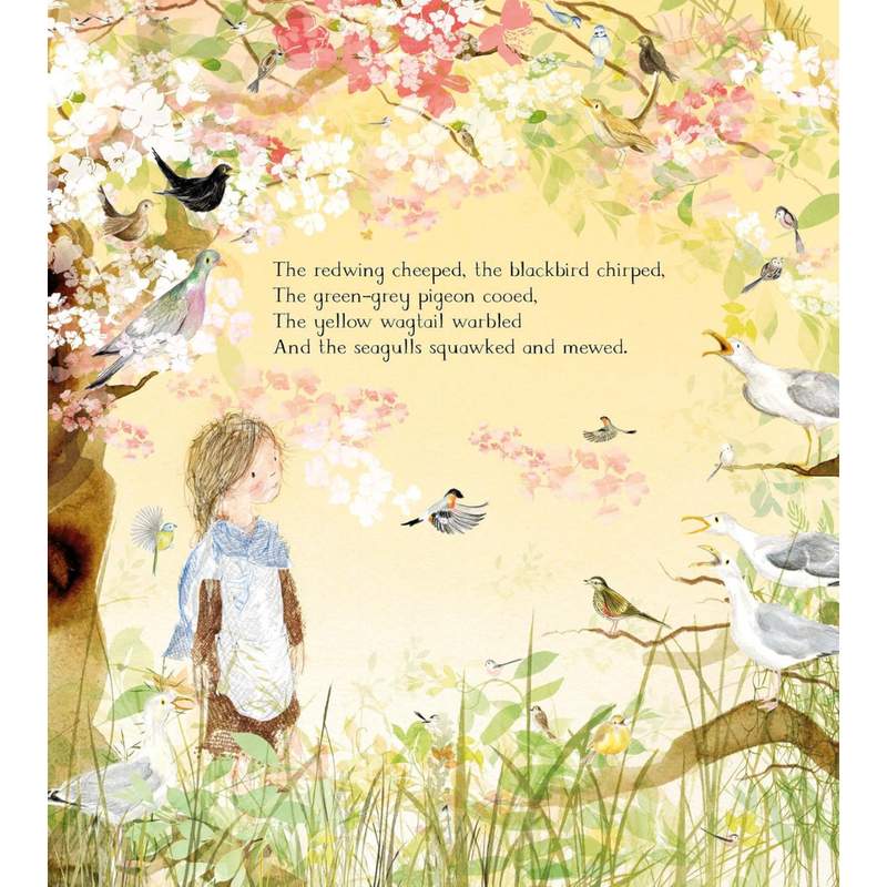 The Magic Feather (Hardcover) by Julia Donaldson Kids Picture Book about Rhyming Fairy-Tale Nature Adventure